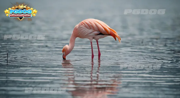 นก ไม่นิยมเลี้ยง