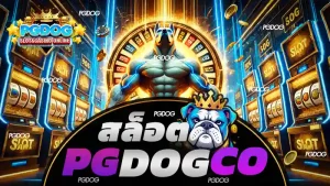 สล็อต pgdog co