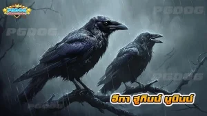 อีกา ฮูกินน์ มูนินน์