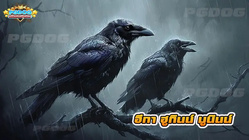 อีกา ฮูกินน์ มูนินน์