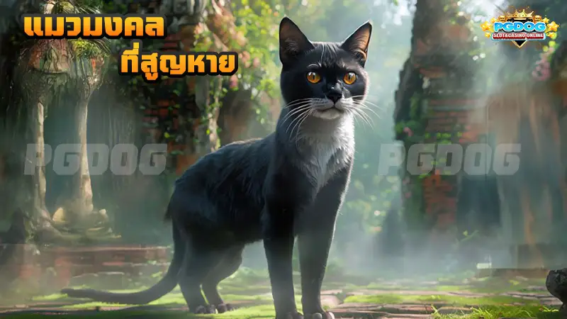 แมวมงคล ที่สูญหาย