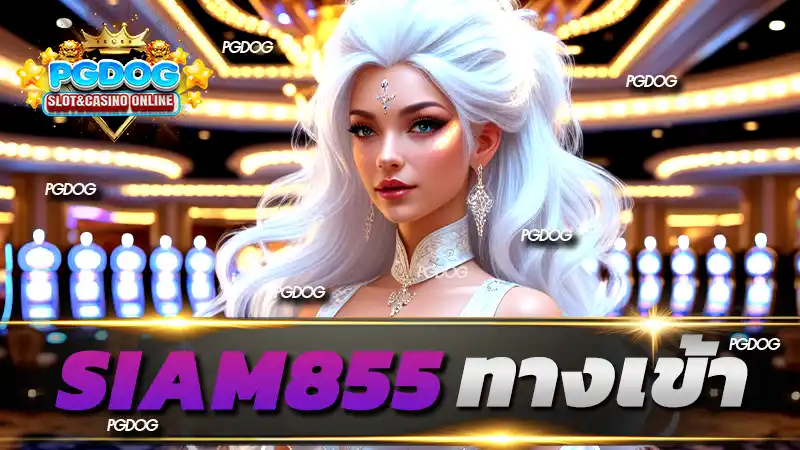 siam855 ทางเข้า