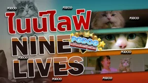 รีวิว ไนน์ไลฟ์