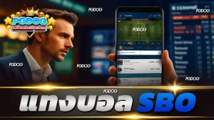 แทงบอล sbo