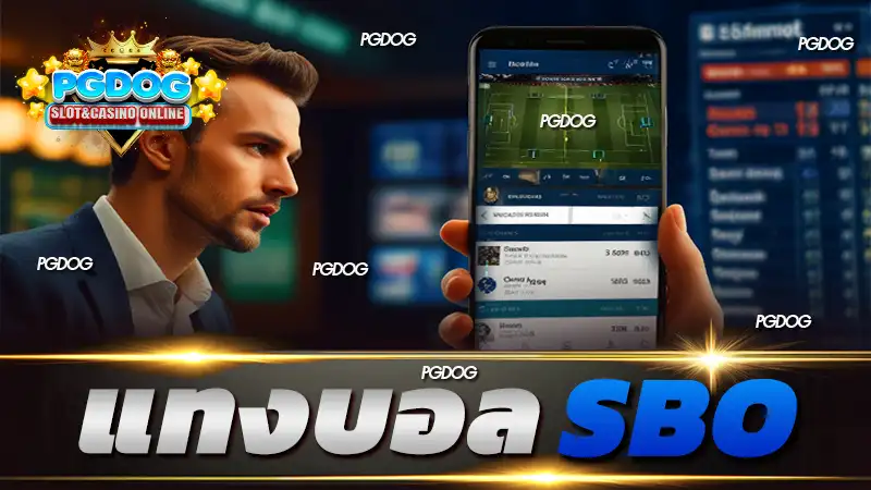 แทงบอล sbo