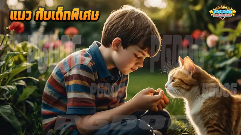 แมว กับเด็กพิเศษ