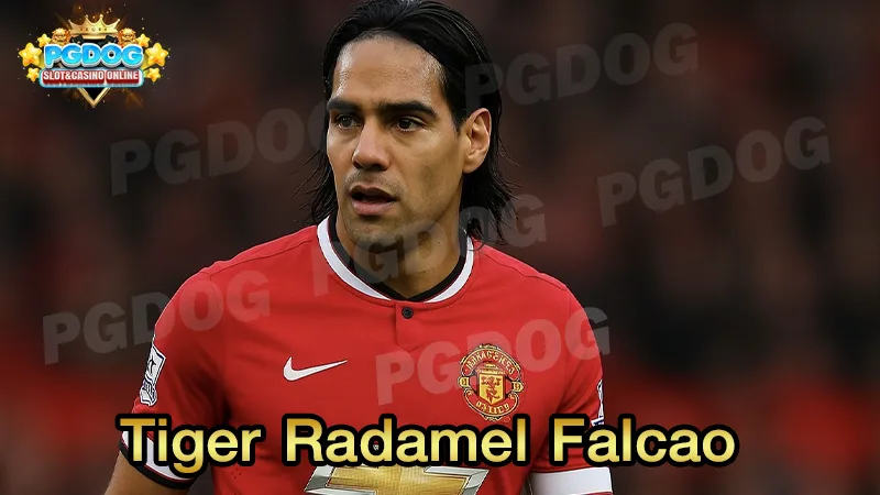 Tiger Radamel Falcao