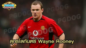 สุกรโลกันตร์ Wayne Rooney