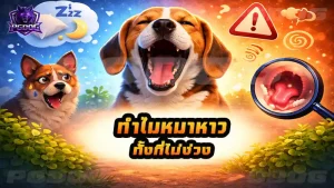 ทำไมหมาหาว ทั้งที่ไม่ง่วง