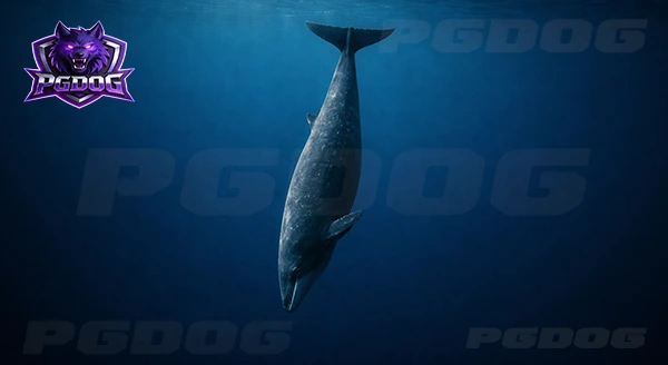 วาฬปากจะงอย ของเบิร์ด