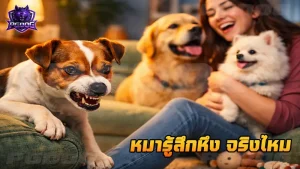 หมารู้สึกหึง จริงไหม