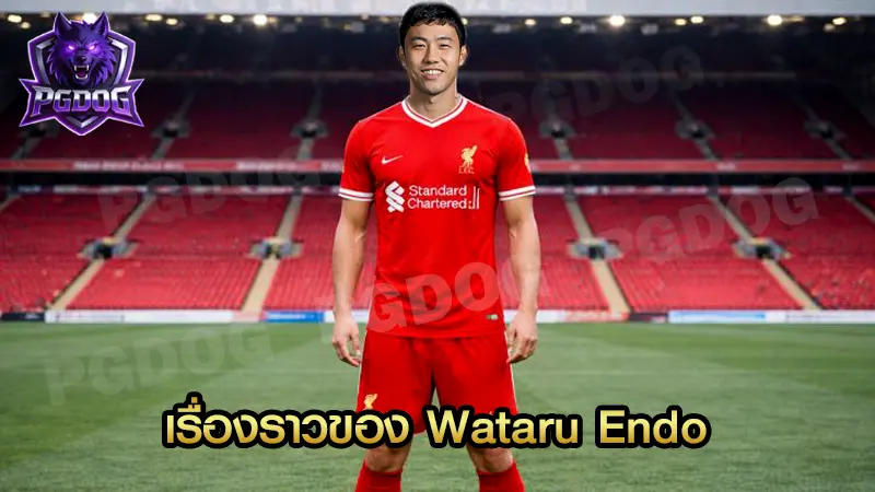 เรื่องราวของ Wataru Endo