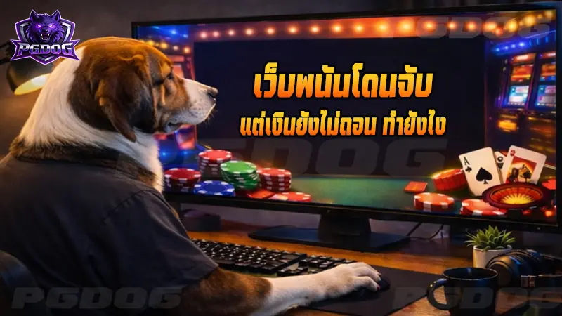 เว็บพนันโดนจับ แต่เงินยังไม่ถอน ทำยังไง