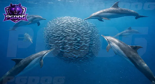 โลมาปากยาว นักล่าฝูงปลา