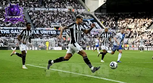 Bruno Guimaraes เขาคือใคร