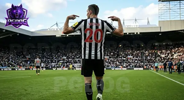 Chris Wood เขาเคยเล่นให้ทีมไหนบ้าง