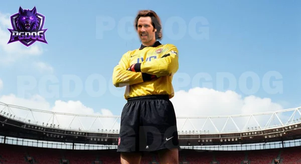 David Seaman เขาคือใคร