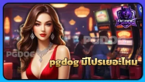 pgdog มีโปรเยอะไหม