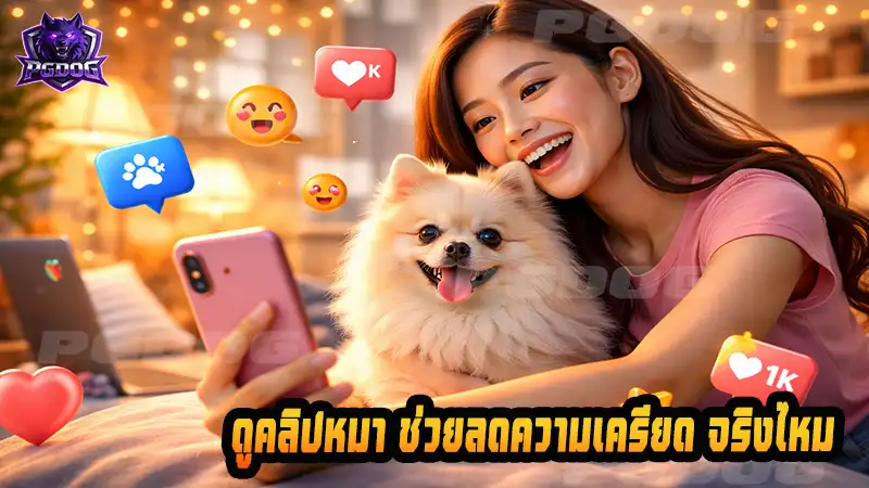 ดูคลิปหมา ช่วยลดความเครียด จริงไหม