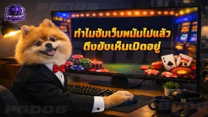 ทำไมจับเว็บพนันไปแล้ว ถึงยังเห็นเปิดอยู่