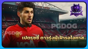 เปตรุซซี่ ดาวรุ่งผู้เฝ้ารอโอกาส