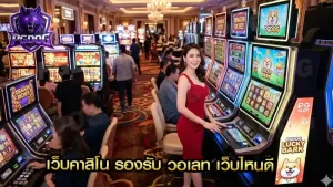 เว็บคาสิโน รองรับ วอเลท เว็บไหนดี